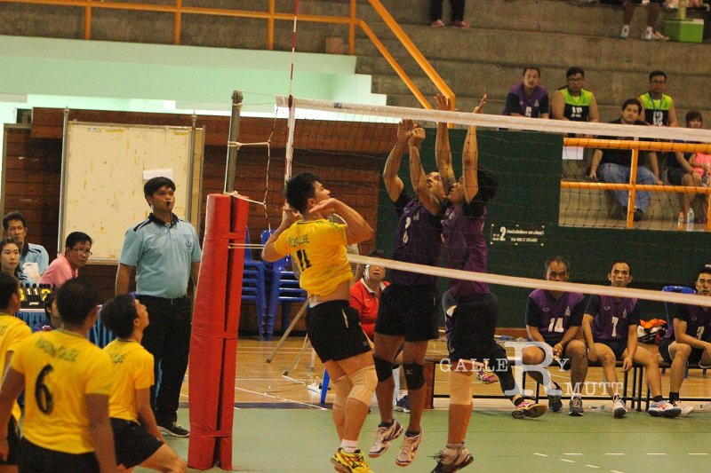 20160605-PR08-401.jpg - thanyaburigame